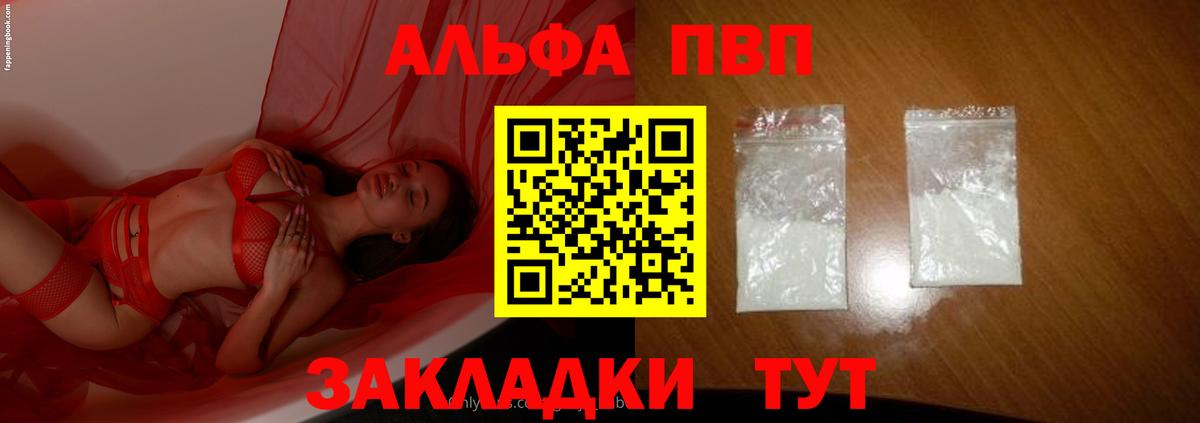 Альфа ПВП СК КРИС Новодвинск
