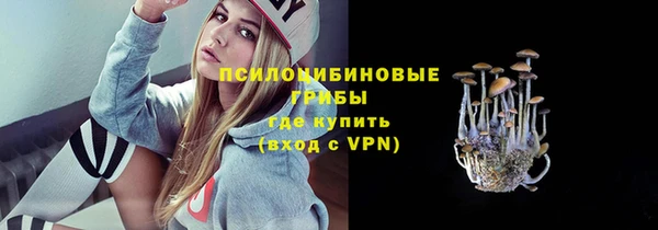 мяу мяу мука Армянск