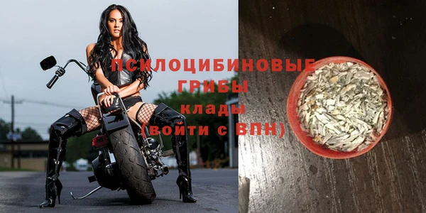 каннабис Арсеньев