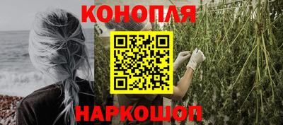наркотики Кингисепп