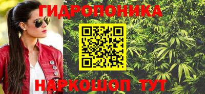 наркотики Кингисепп