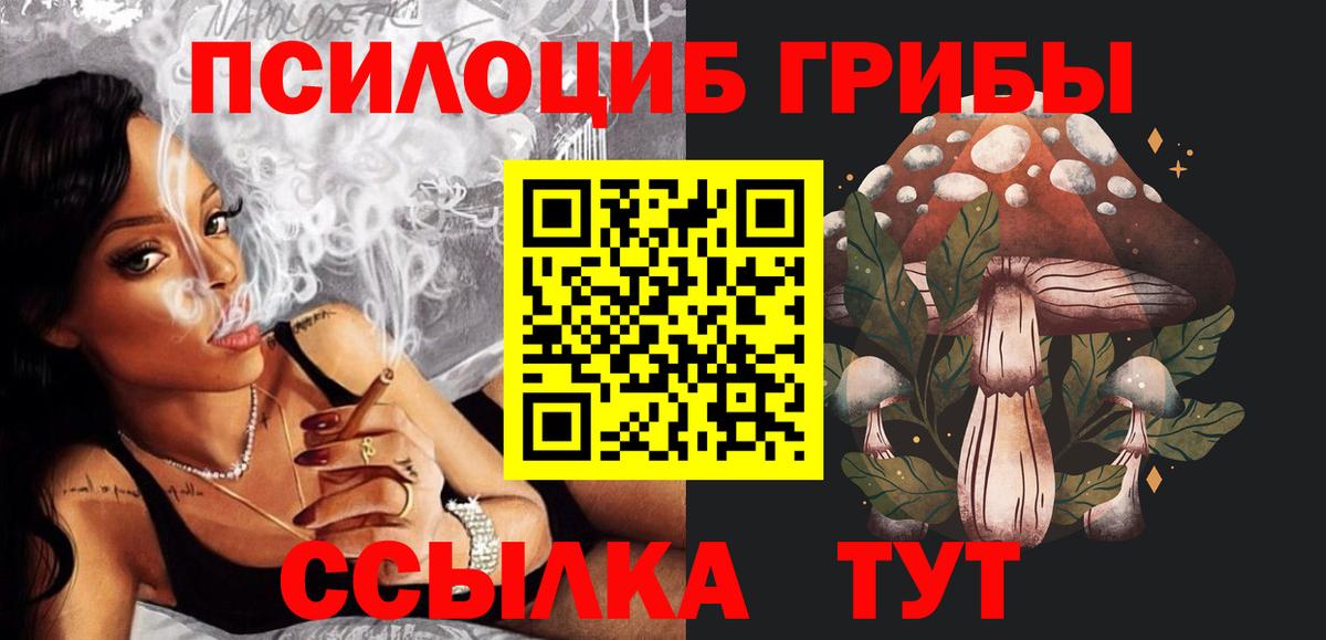 Галлюциногенные грибы Psilocybine cubensis  Вход с VPN  Псилоцибиновые грибы Cubensis  Новодвинск 